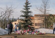 Канада Вимагає Пояснень від OpenAI у Зв’язку з Масовим Розстрілом