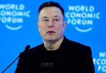 Ілон Маск побудує гігантську нову фабрику чіпів для SpaceX та Tesla