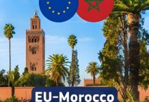 Новини ІІ на Близькому Сході: стратегічне партнерство та технологічні прориви