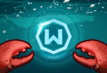 Подолаючи розрив: Windscribe інтегрує підтримку VPN для автономних ІІ-агентів