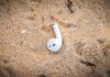 Cómo localizar tus AirPods perdidos usando Find My Network de Apple